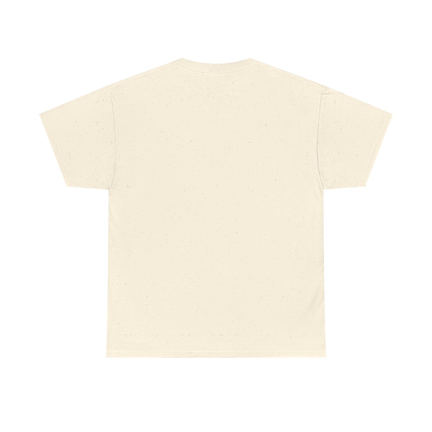Stylish Unisex Heavy Cotton Tee - "Stay Chill All Day" Graphic