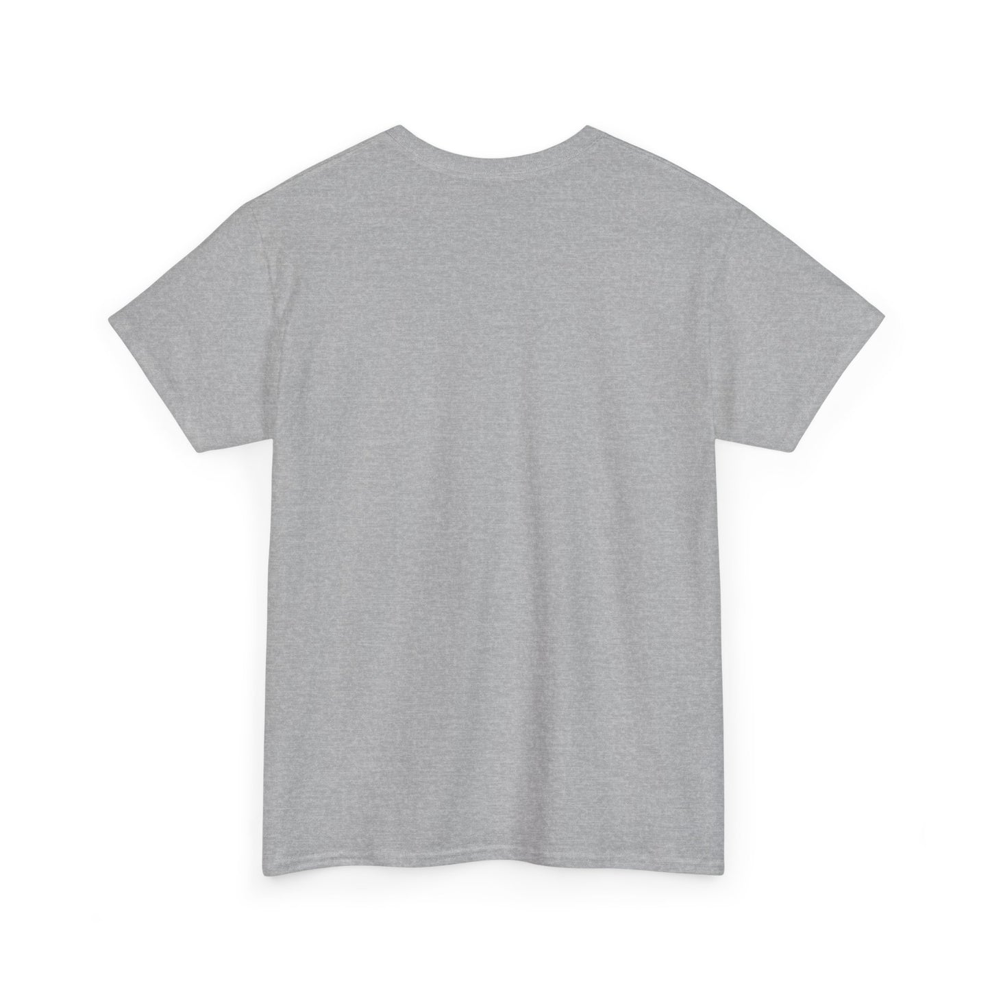 Stylish Unisex Heavy Cotton Tee - "Stay Chill All Day" Graphic