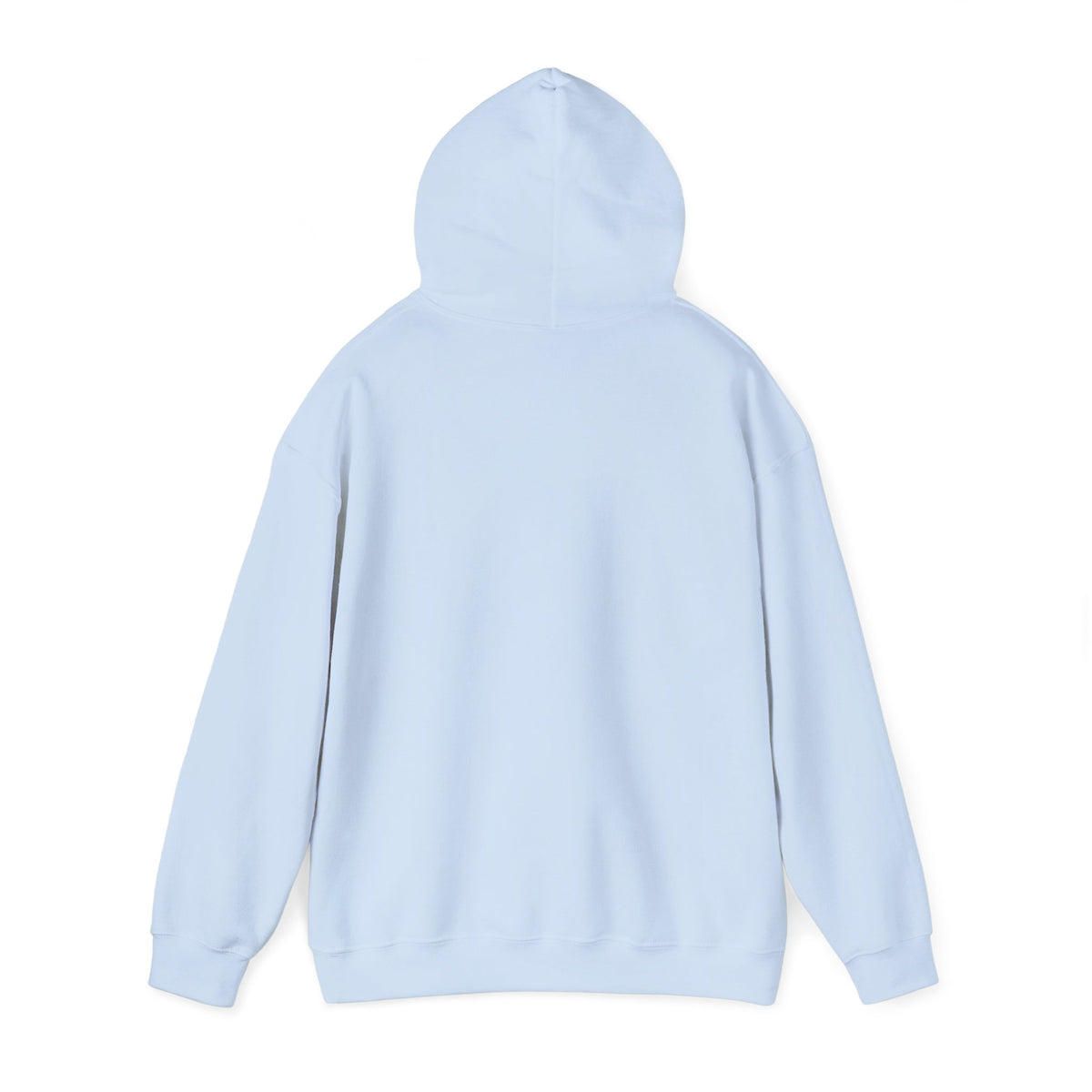 Raccoon Graphic Hoodie